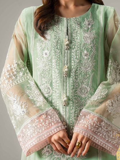 2 Piece Organza Suit-Embroidered (Pret)
