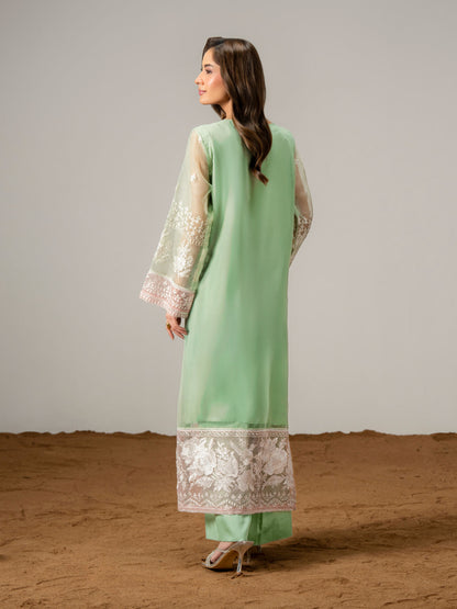 2 Piece Organza Suit-Embroidered (Pret)
