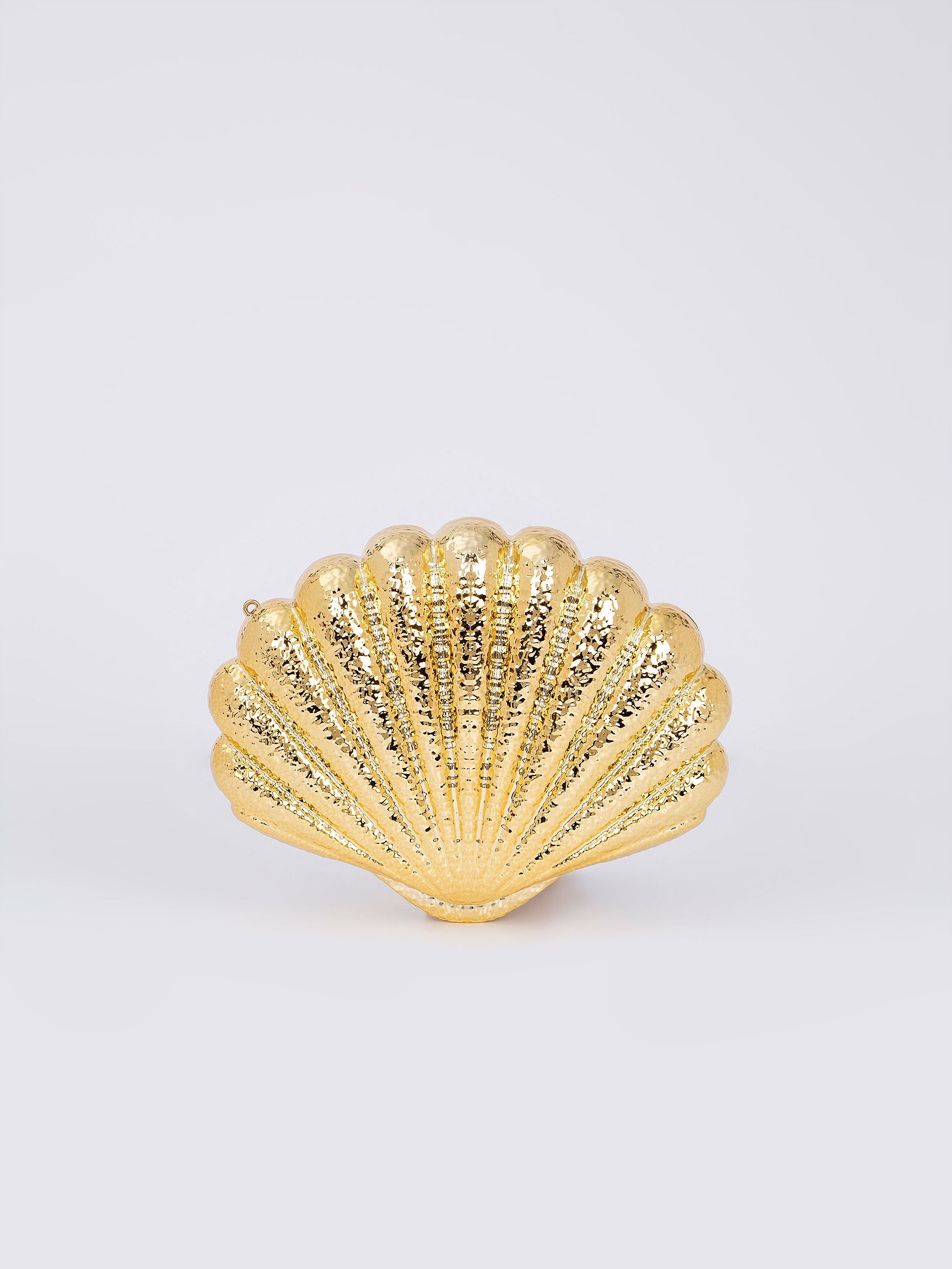 Shell Acrylic Clutch