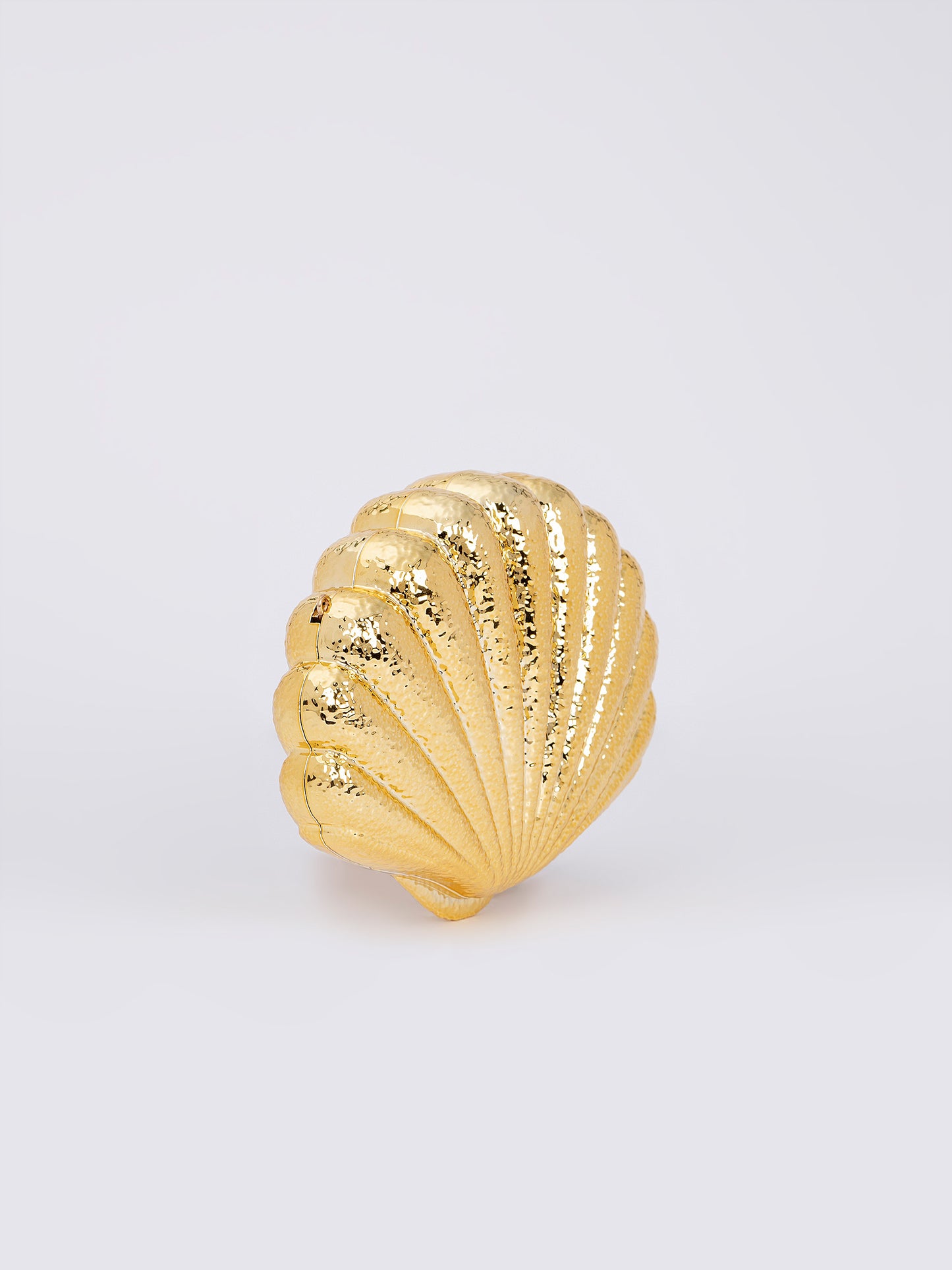 Shell Acrylic Clutch