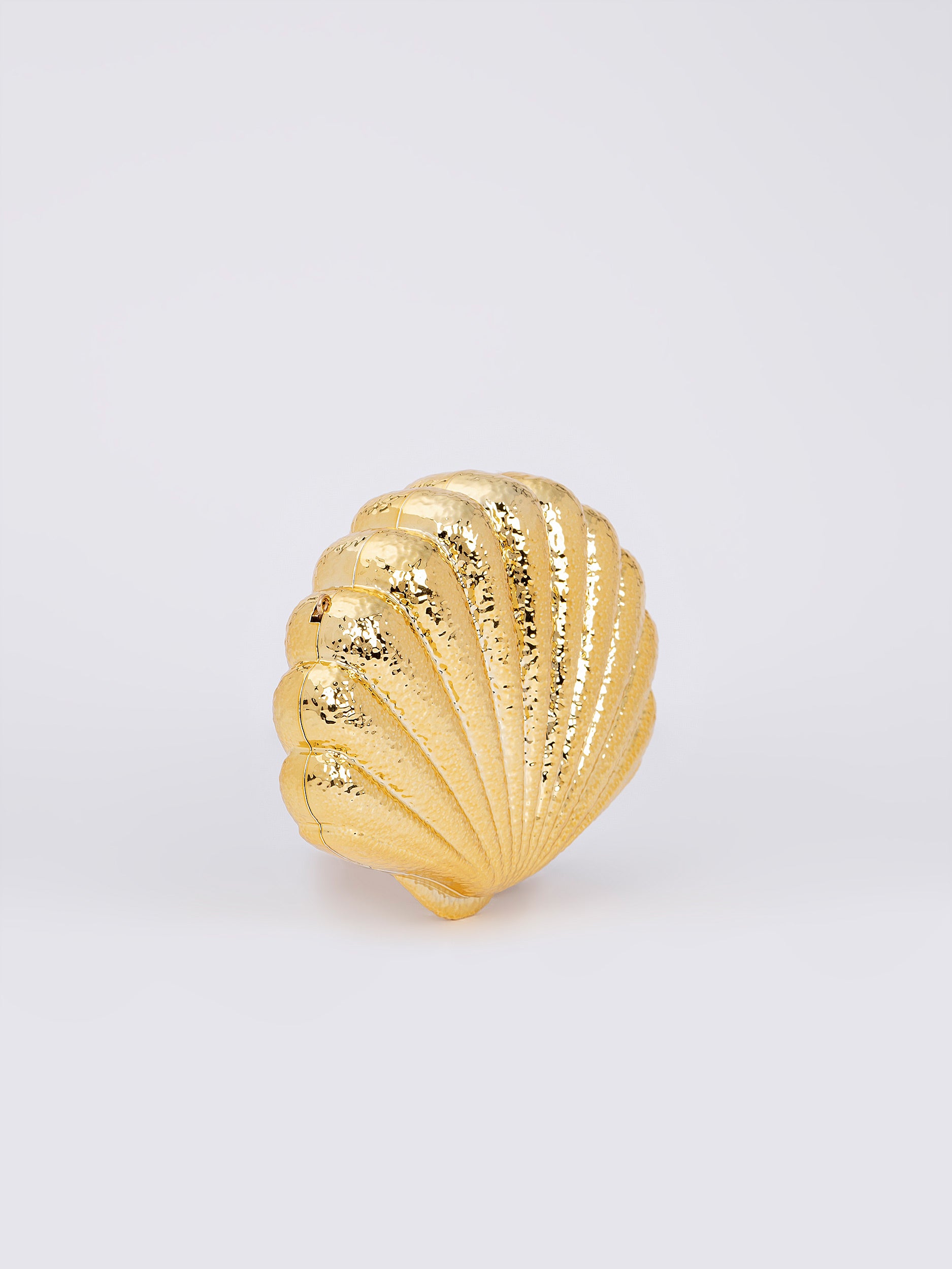 Shell Acrylic Clutch
