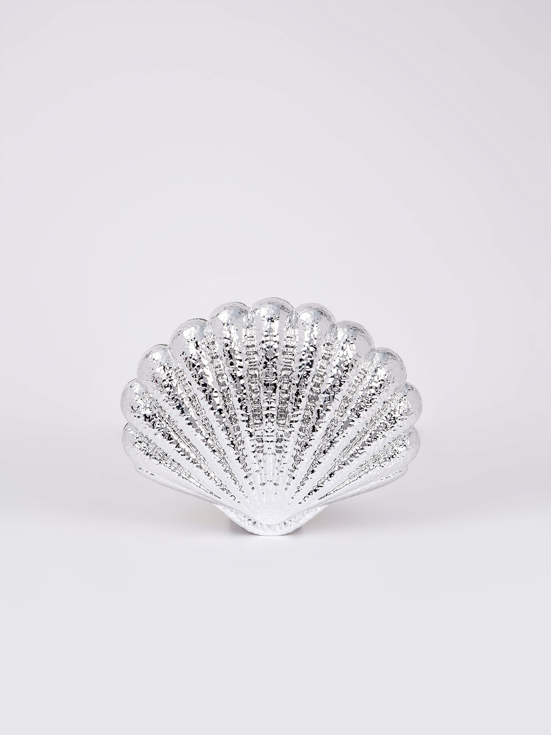 Shell Acrylic Clutch