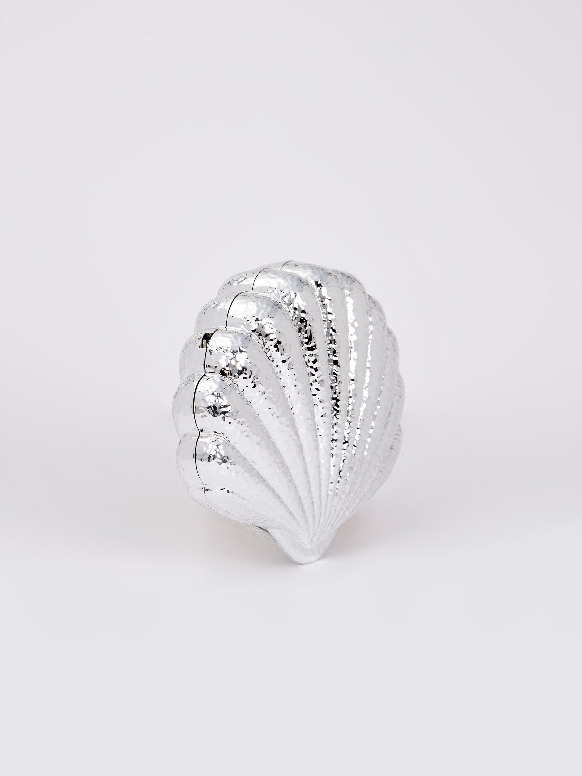 Shell Acrylic Clutch