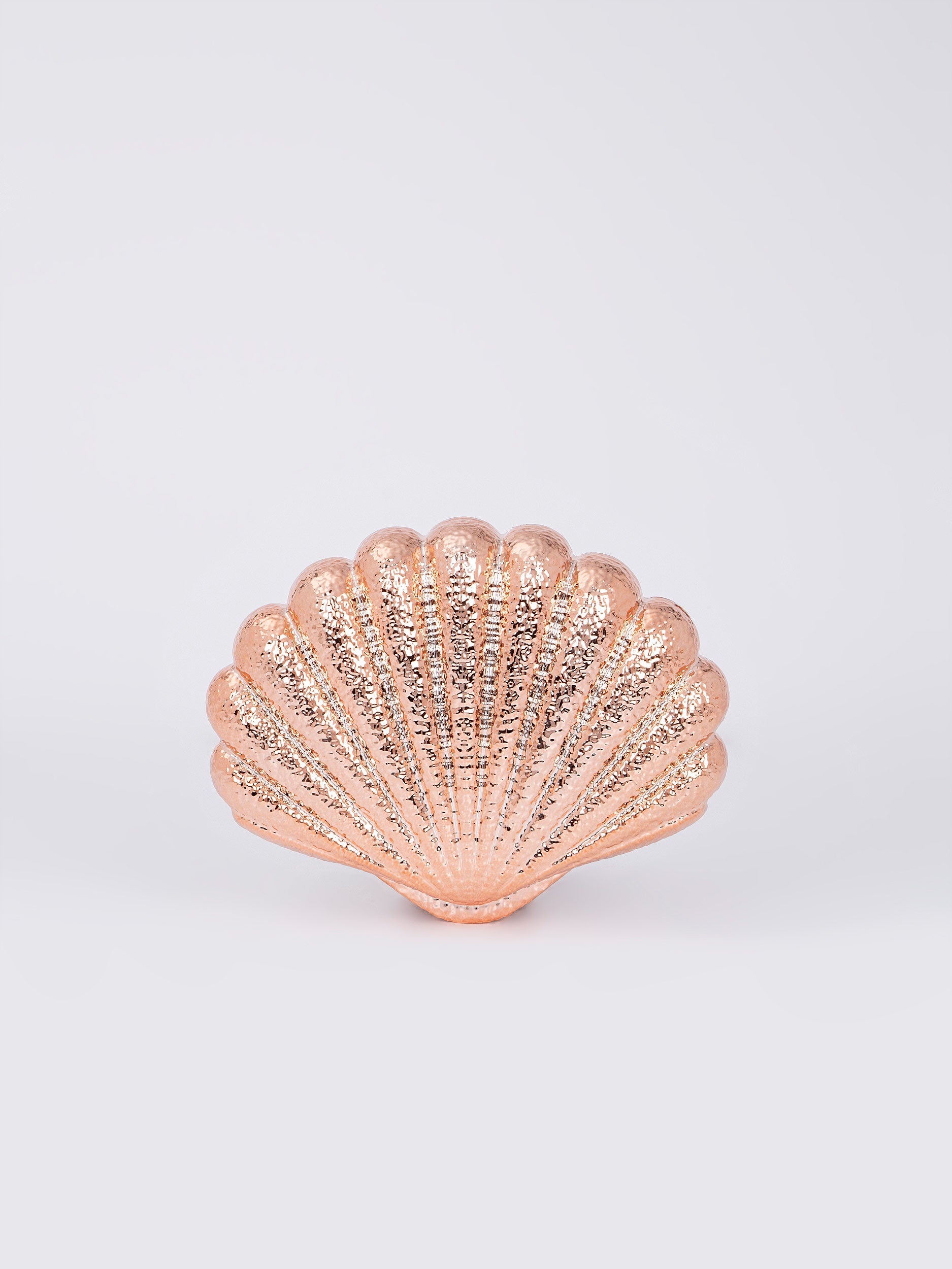 Shell Acrylic Clutch