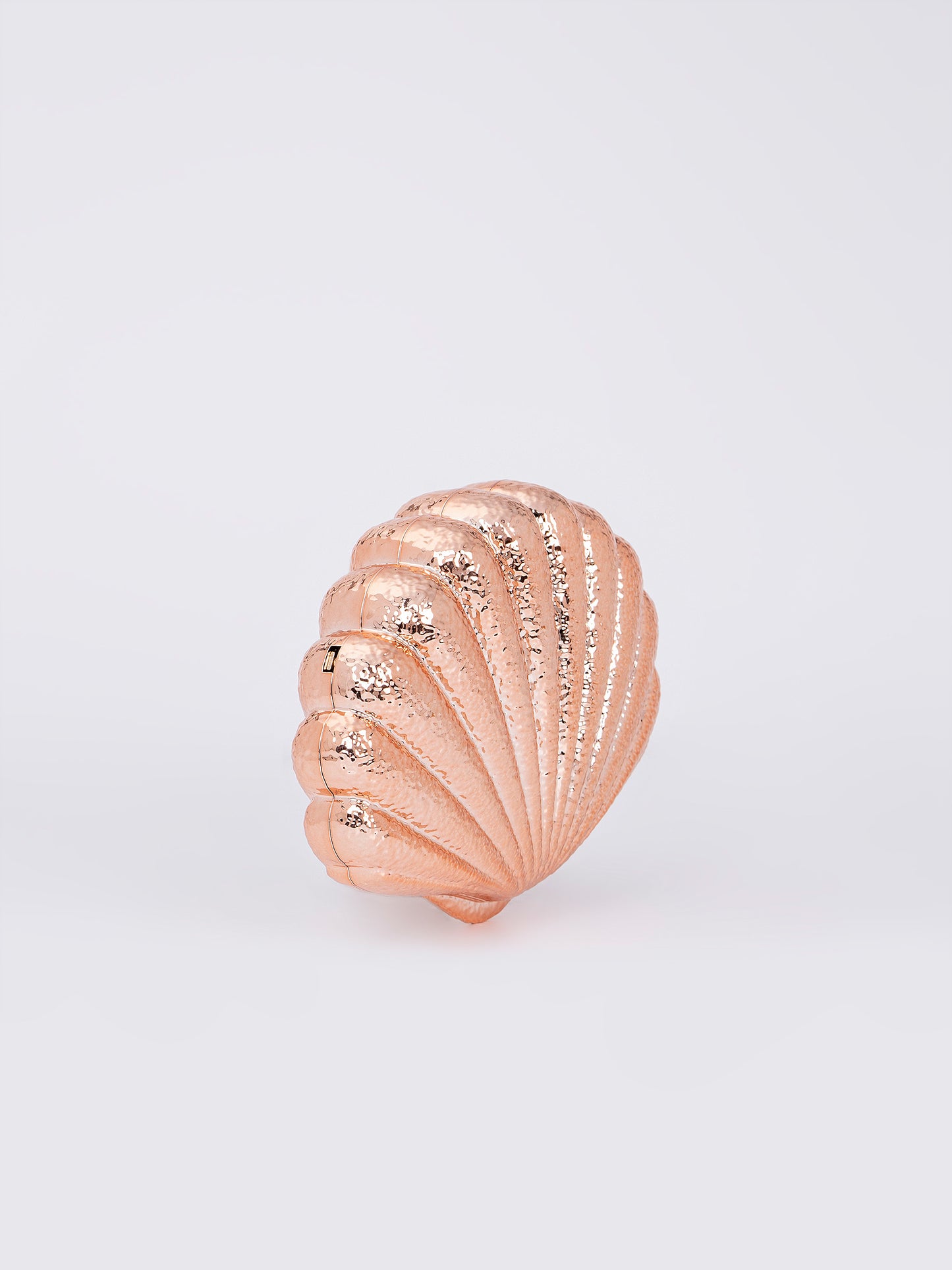 Shell Acrylic Clutch