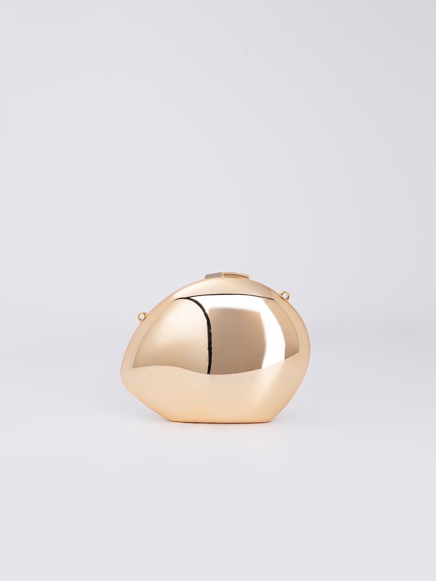 Shell Acrylic Clutch