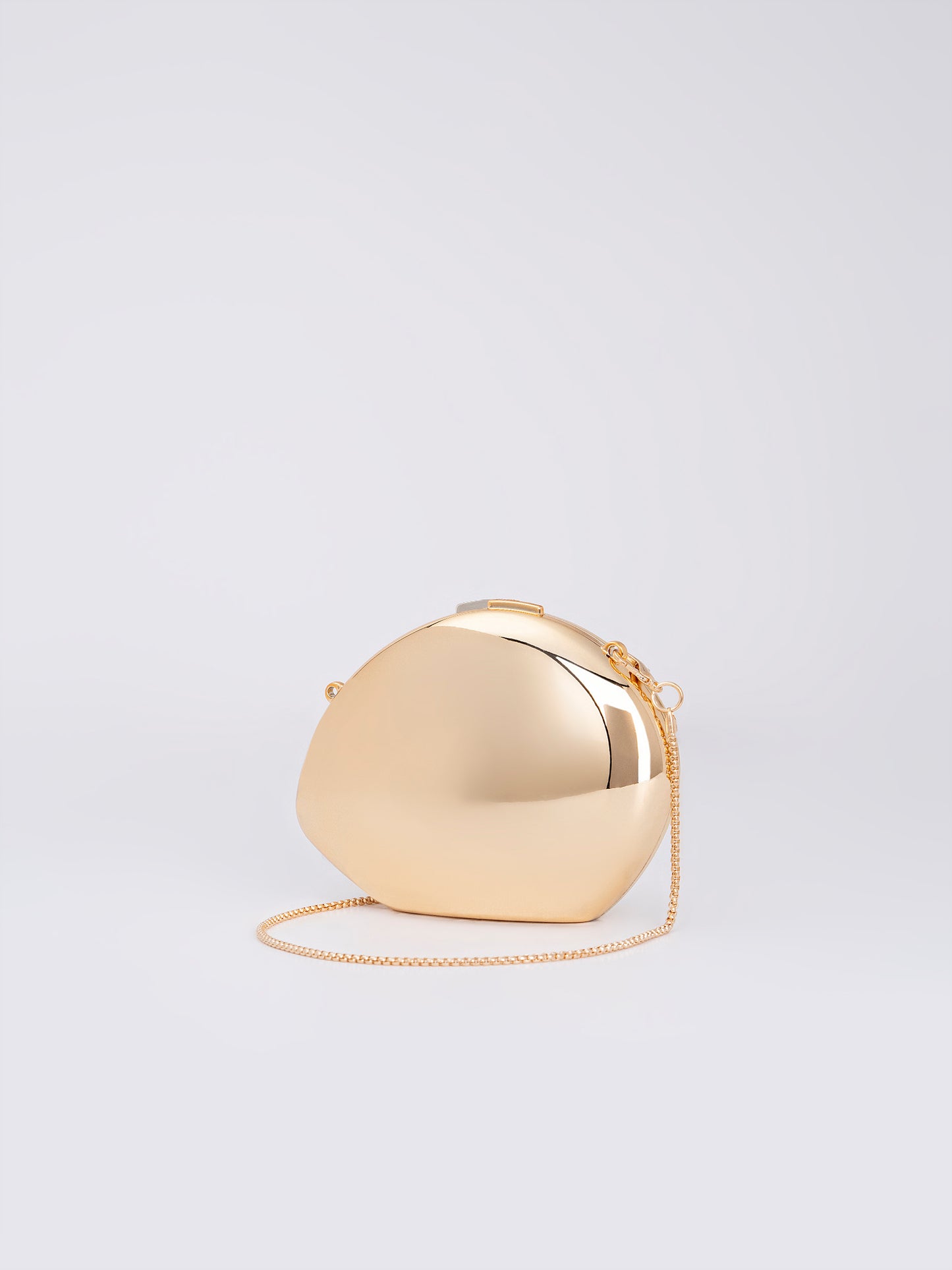 Shell Acrylic Clutch