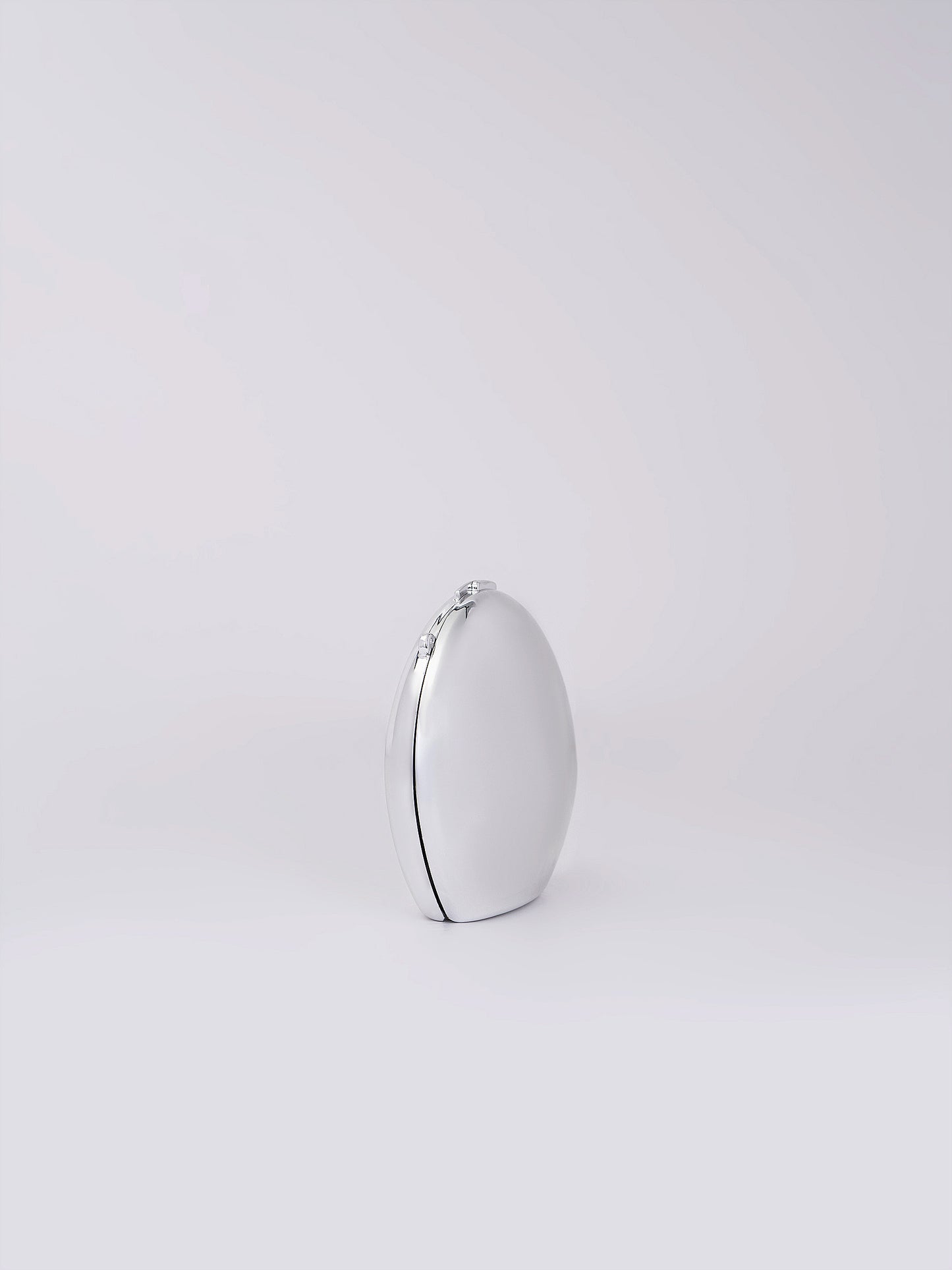 Shell Acrylic Clutch