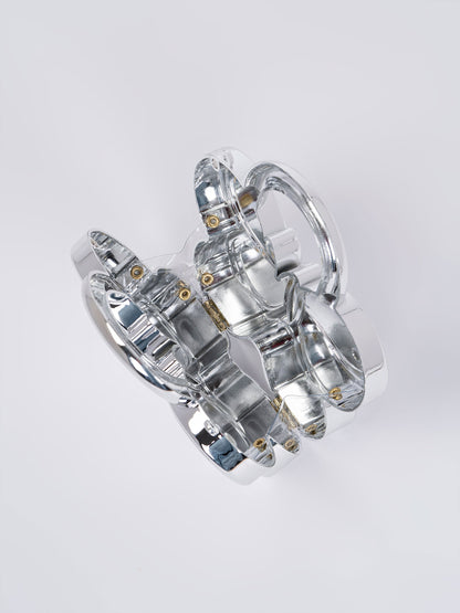 Butterfly Acrylic Clutch