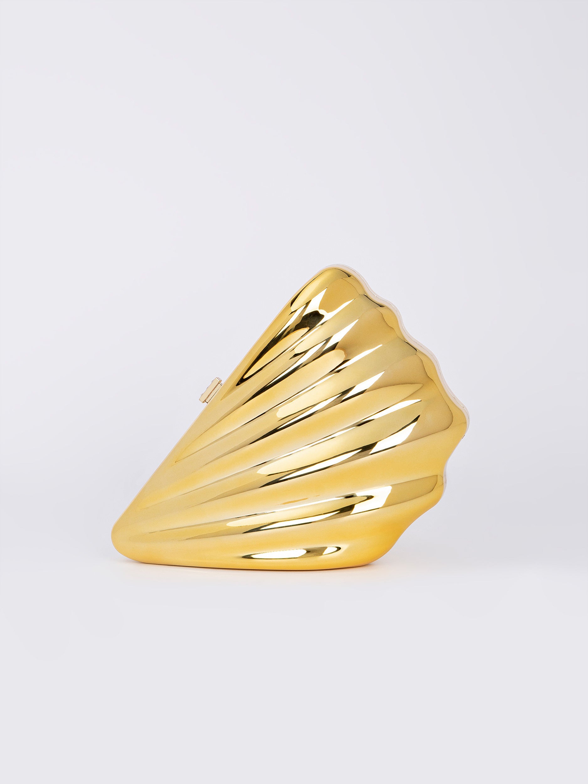 Shell Acrylic Clutch
