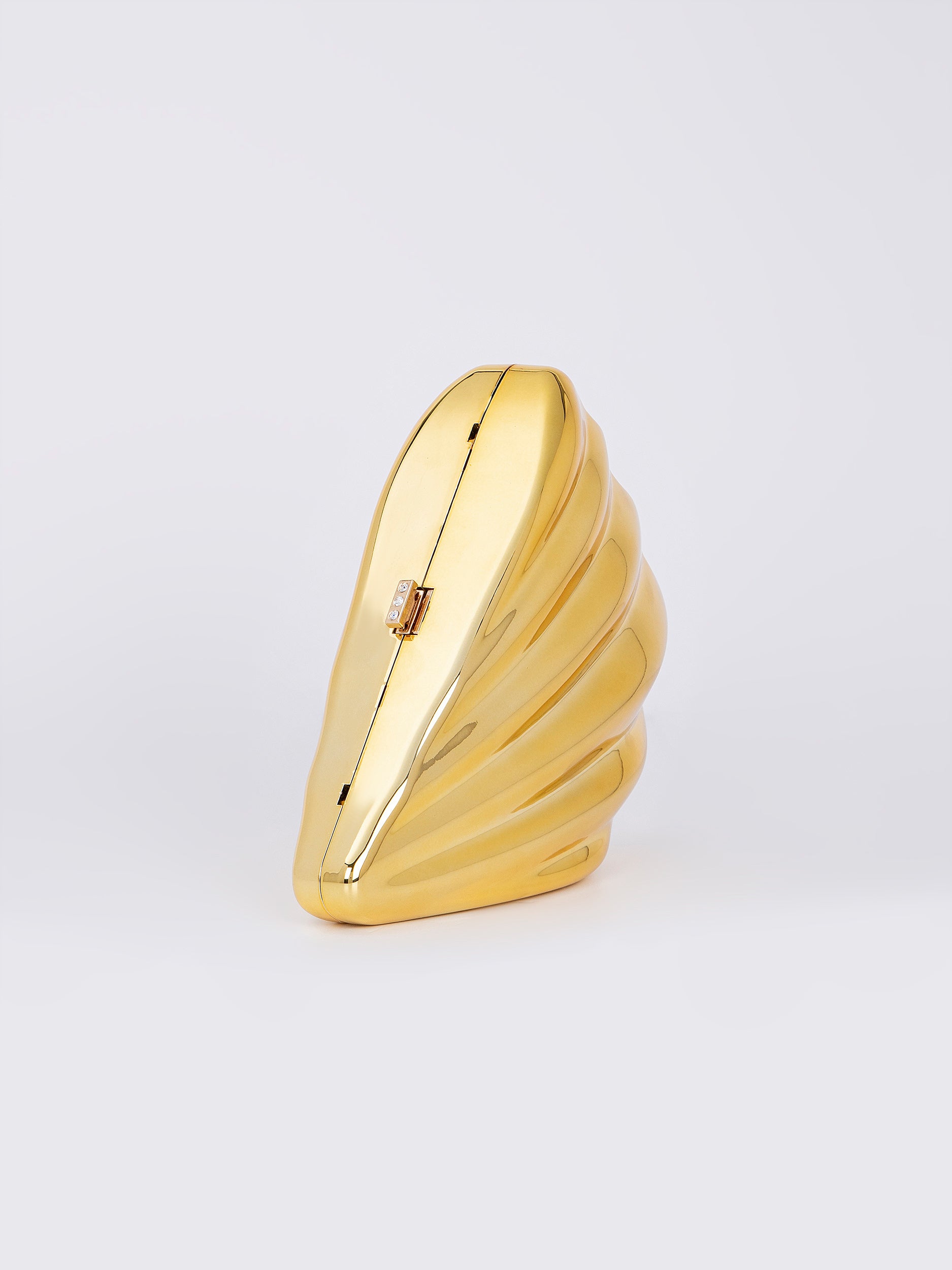 Shell Acrylic Clutch