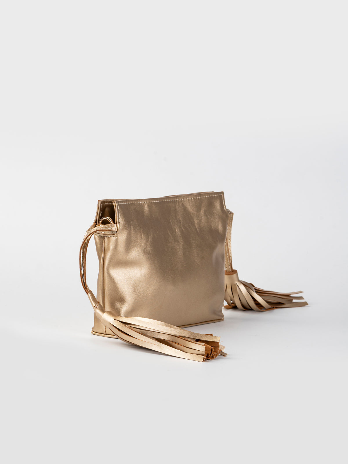 Orlina-Fringe Clutch