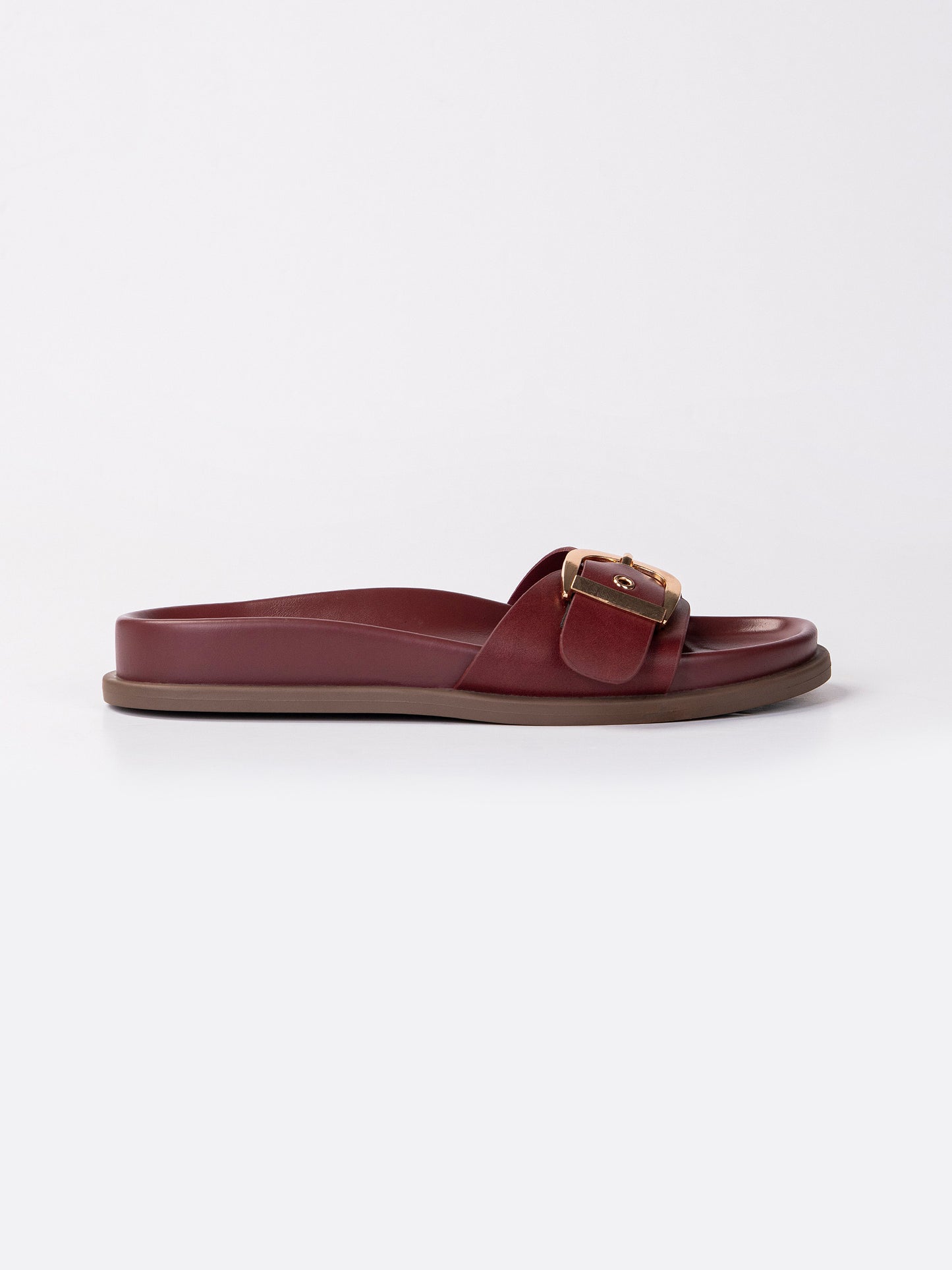 Buckle Strap Slides