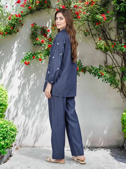 Denim Co-ord Set- Embroidered