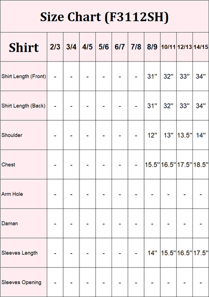 2 Piece Organza Suit-Embroidered (Pret)