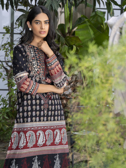 2 Piece Khaddar Suit-Embroidered (Pret)
