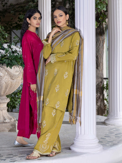 2 Piece Karandi Suit-Embroidered (Pret)