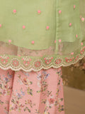 embroidered-organza-suit