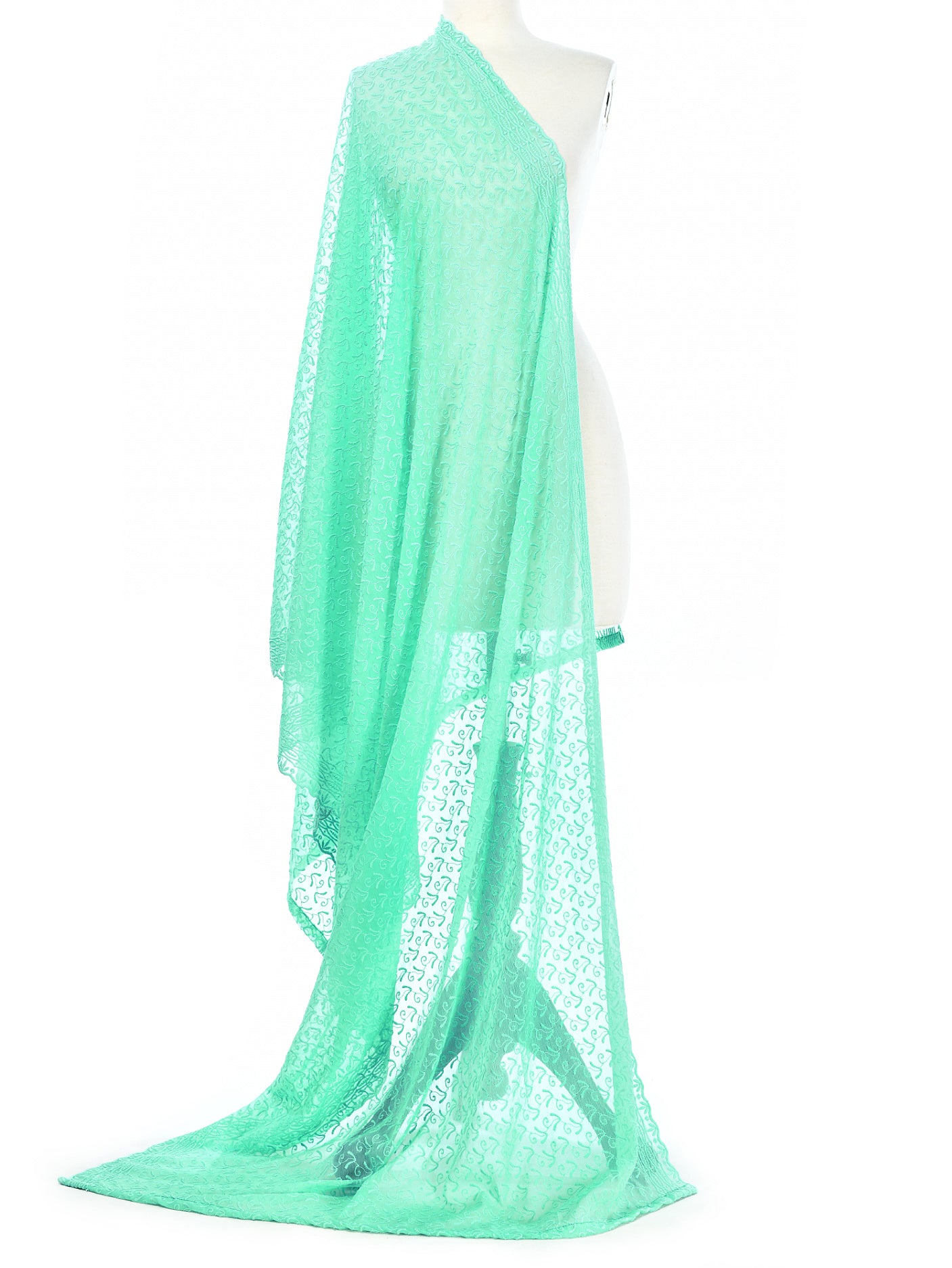Chiffon Dyed Schiffli Dupatta