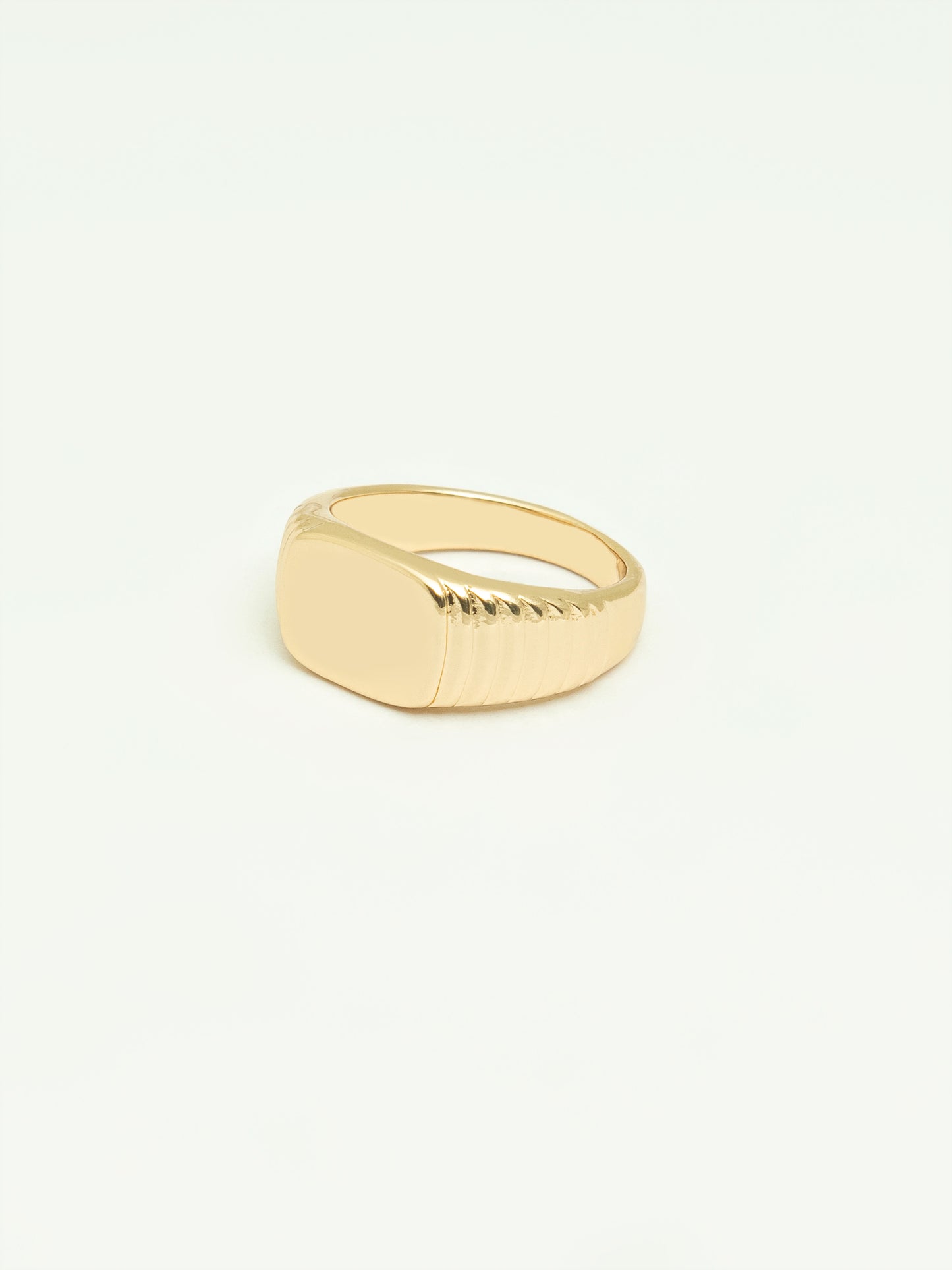 Signet Ring Set