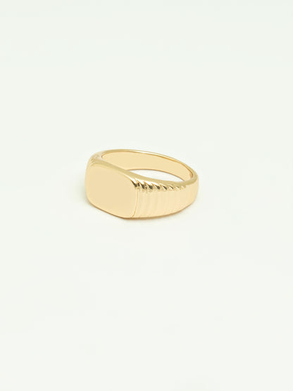 Signet Ring Set