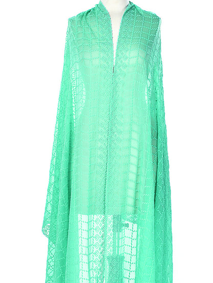 Embroidered Chiffon Dupatta - Ferozi