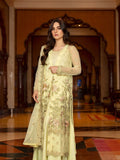 2-piece-net-suit-embroidered-(unstitched)