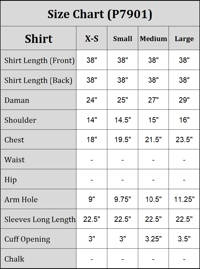 Linen Shirt-Embroidered (Pret)